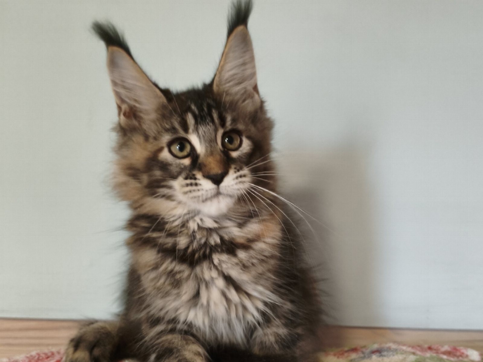 Emily, фото 2